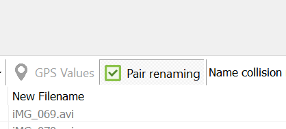 File pair rename option in main window